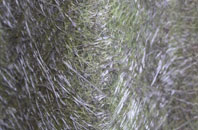 Shieldhall fibreglass roof work